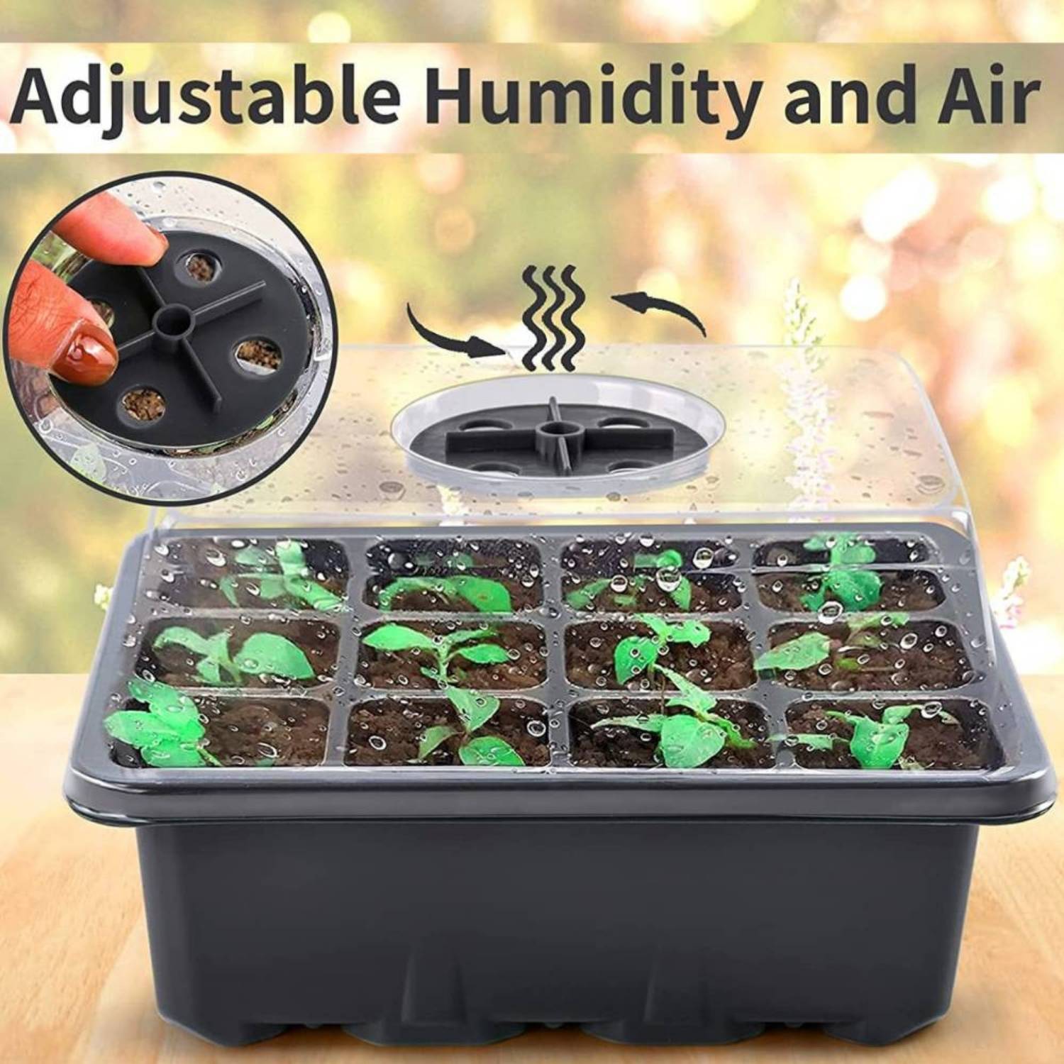 Self Watering Seedling Tray: image 9
