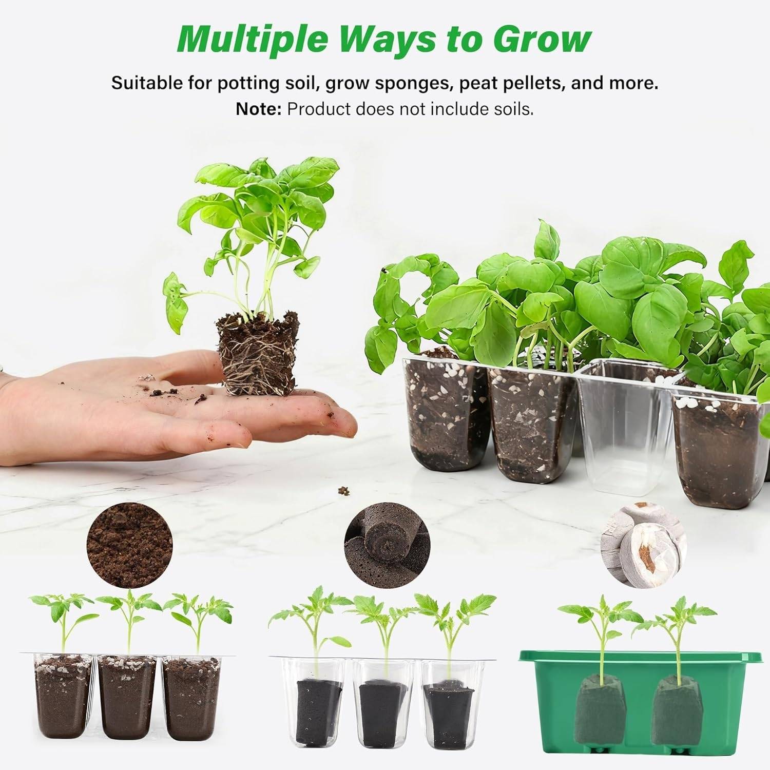 Self Watering Seedling Tray: image 10