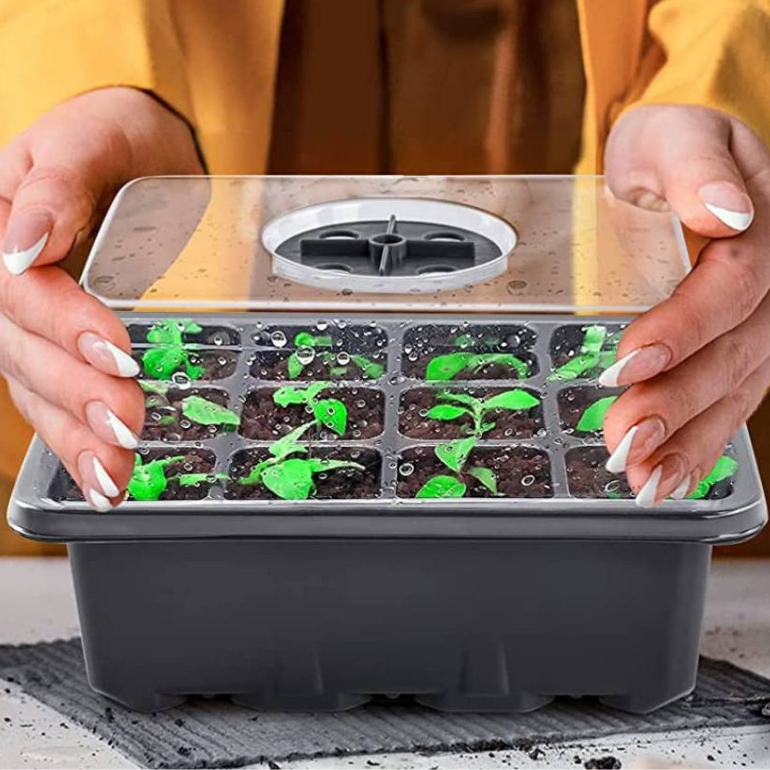 Self Watering Seedling Tray: image 11