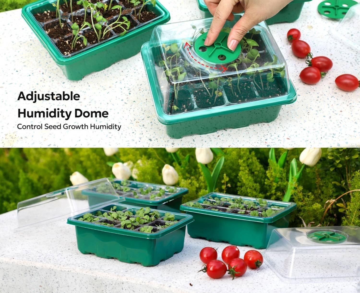 best seed starting trays with dome